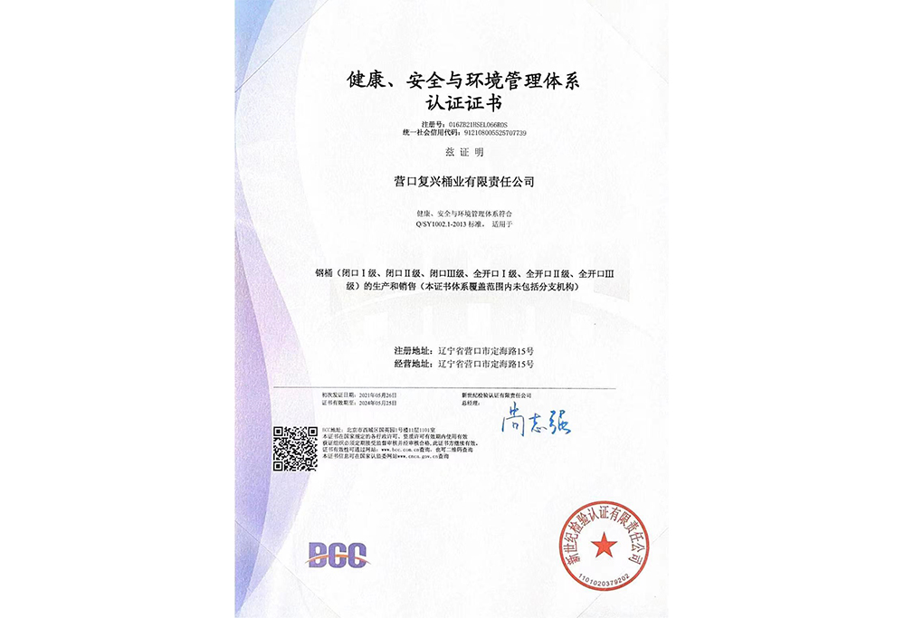 HSE-2013中文