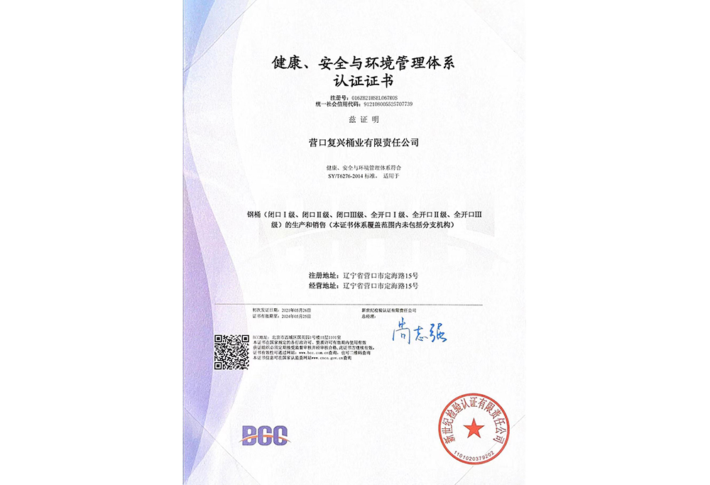 HSE中文2014